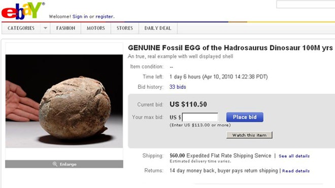 Dinosaur Egg on eBay
